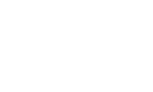 Red Van Creative The Exercise Coach Logo Design in Houston and the Woodlands, TX